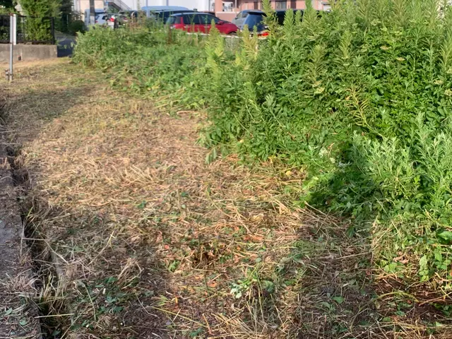 お庭の草をスッキリ、丁寧に刈り取ります！草刈りシーズンはお任せください！サービスの画像