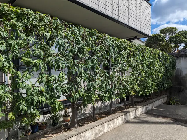 《造園技能士1級　業界歴15年》年間実績100件以上！何でもご相談下さい(^^)サービスの画像