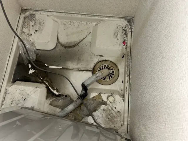 水道の水漏れ修理｜即日対応・原因特定からしっかり対応サービスの画像