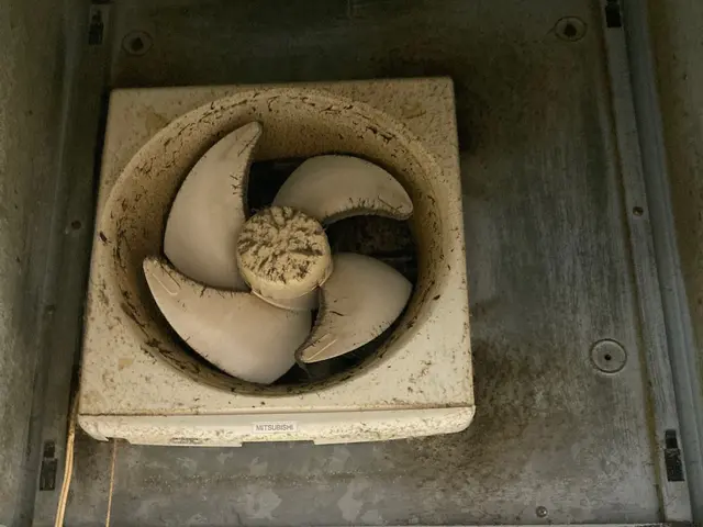 ◇11月末まで2,000円割引◇ハウスクリーニング士資格取得の私が伺います◇サービスの画像