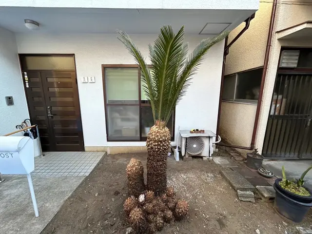 他社様からお断りされた案件是非一度ご相談ください！難しい伐採多数経験有り！サービスの画像