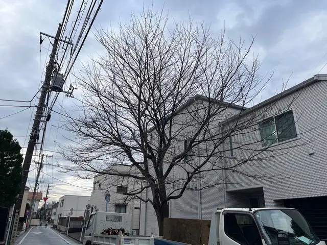 他社様からお断りされた案件是非一度ご相談ください！難しい伐採多数経験有り！サービスの画像