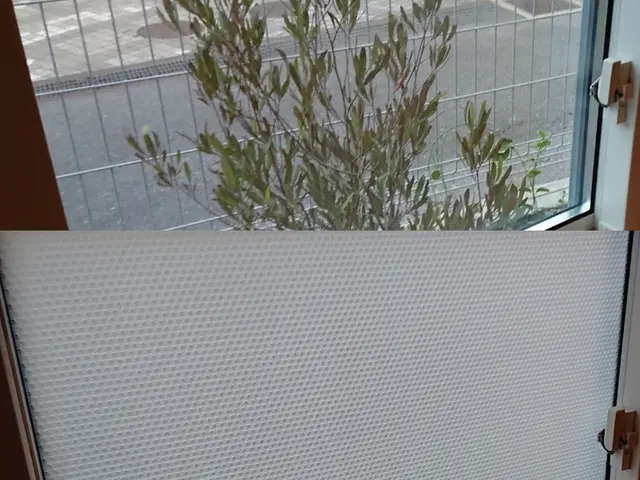 ＜千葉市から出向＞省エネ・防災などの対策しませんか？地域や時間はご相談ください！サービスの画像