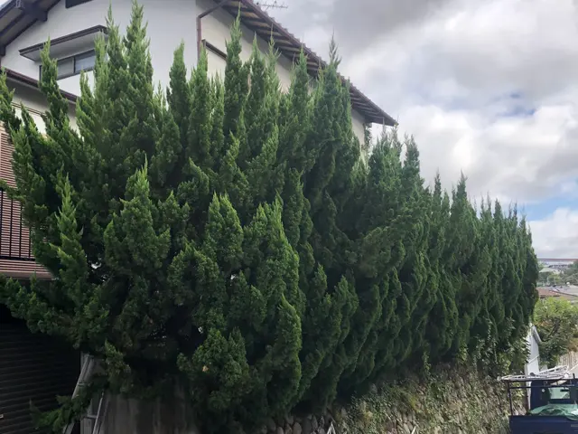 【年中無休！】個人宅メインにしている会社ですので安心してお任せください！！サービスの画像