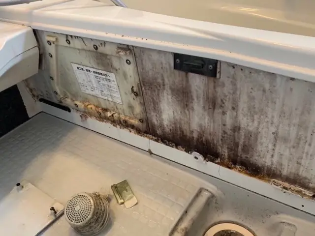 《関西★》手におえないエプロン内カビ・石鹸カスは当店にお任せ下さい！サービスの画像