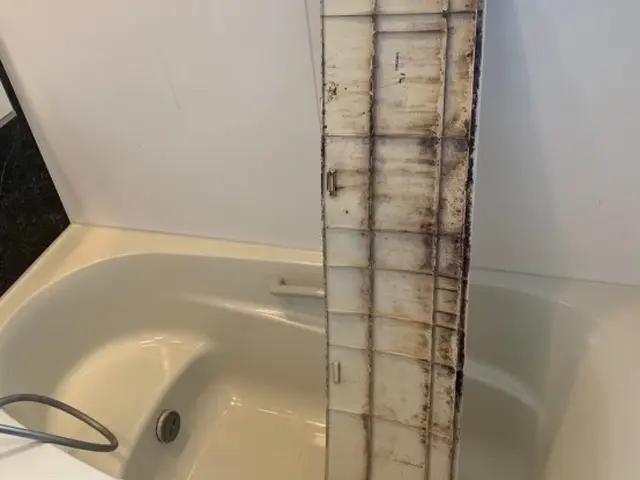 《関西★》手におえないエプロン内カビ・石鹸カスは当店にお任せ下さい！サービスの画像