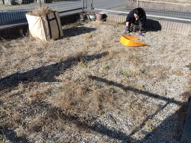 経験27年超のプロが手際よく仕上げる、お庭のケアサービスの画像