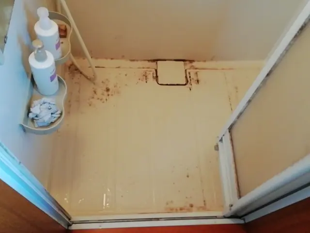 浴室クリーニングサービスの画像