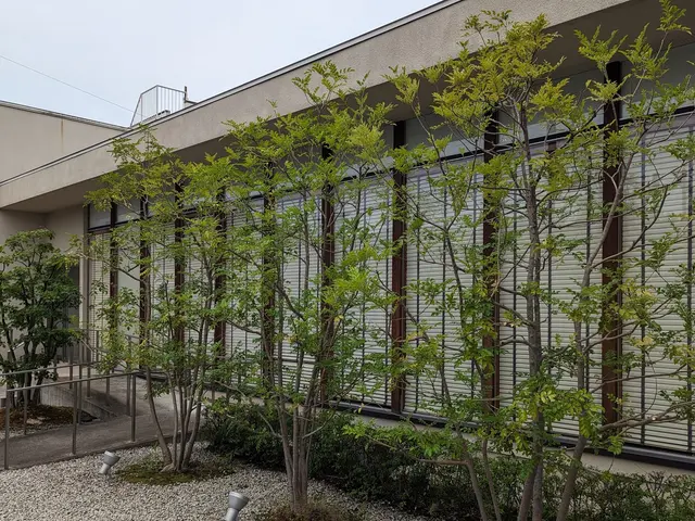 個人邸・空家・アパート・店舗など、庭木の剪定お任せください。　☆損害保険加入済みサービスの画像