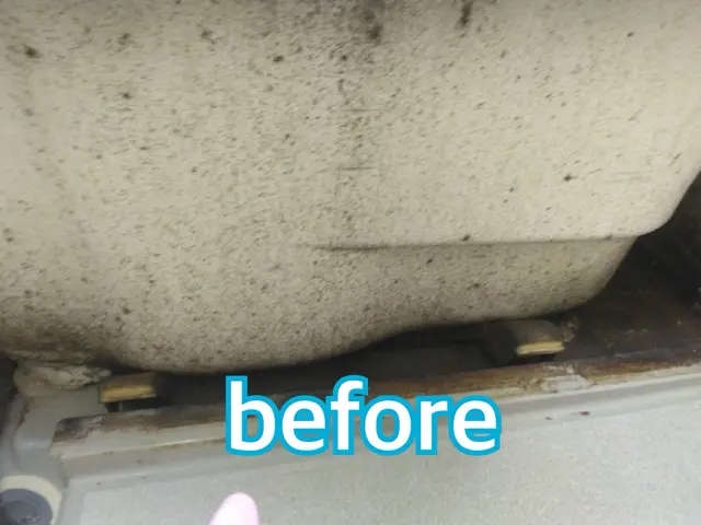 【この機会に害虫対策無料!!】害虫駆除と清掃のプロが手掛ける水回りクリーニング！サービスの画像