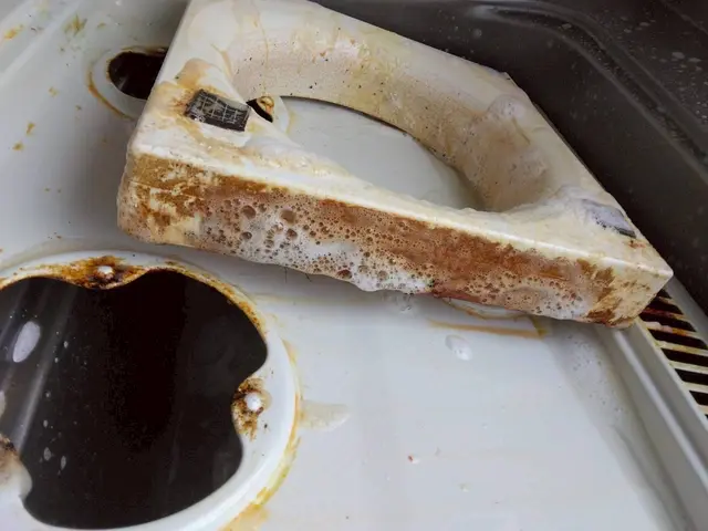 【この機会に害虫対策無料!!】害虫駆除と清掃のプロが手掛ける水回りクリーニング！サービスの画像