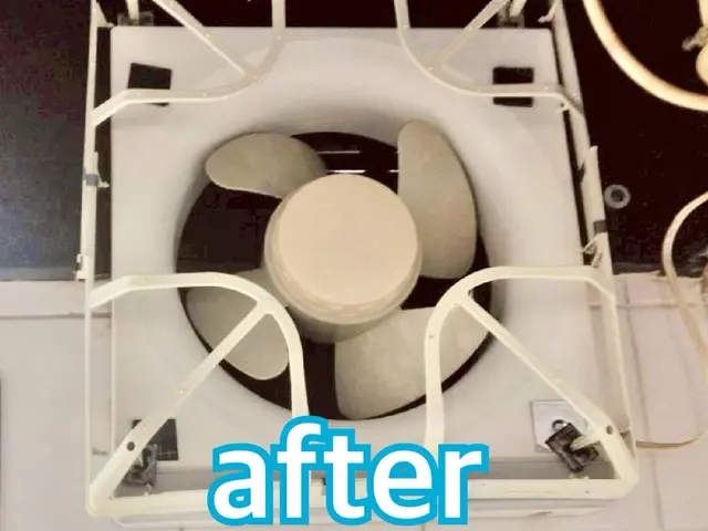 【この機会に害虫対策無料!!】害虫駆除と清掃のプロが手掛ける水回りクリーニング！サービスの画像