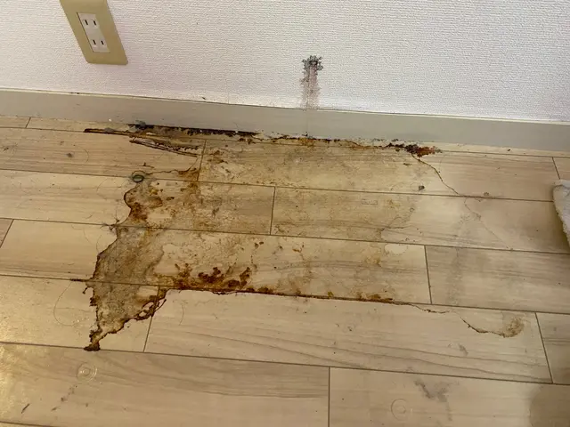 病院や公共機関、ホテルの床清掃で実績多数☆住宅、店舗の床スッキリ洗浄！サービスの画像