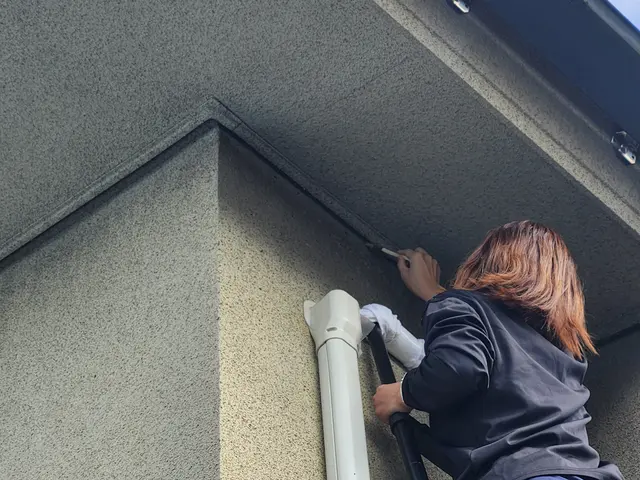 【休日対応可】嫌な害虫追い出します！サービスの画像