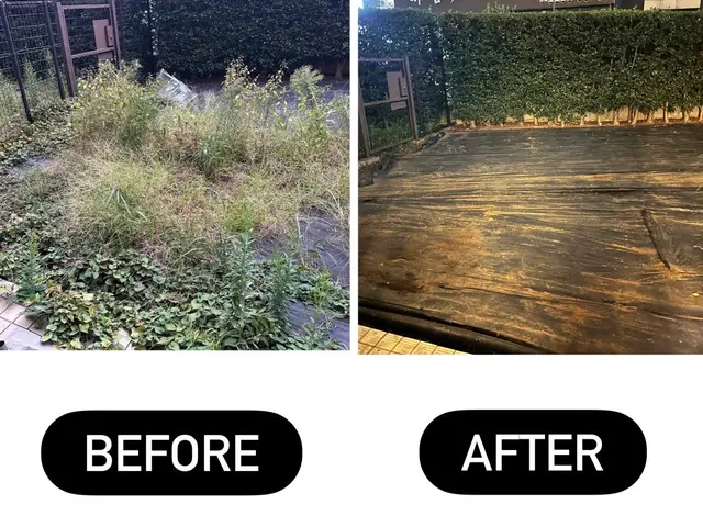 プロの技術でご満足いただけるように心を込めて作業いたしますサービスの画像