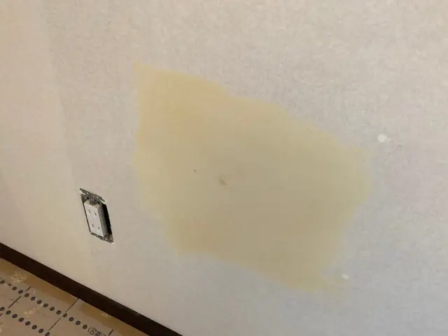 【壁穴補修専門】#尾道 #福山 #倉敷 #一律4.8万円 #1年保証サービスの画像