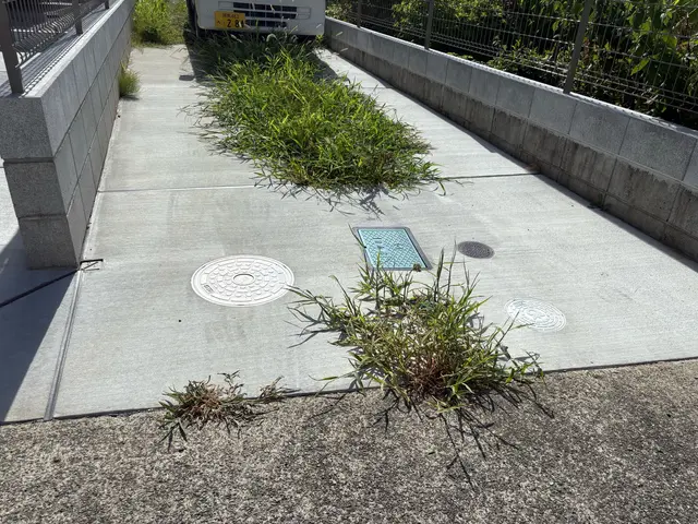 【概算見積り】【即日対応】【予算内お手入れ可】【2000件超と修行歴10年以上】サービスの画像