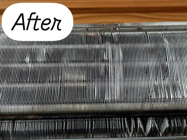 「天然洗剤×資格保有のプロ！高評価＆日本ハウスクリーニング協会加盟で安心安全」サービスの画像