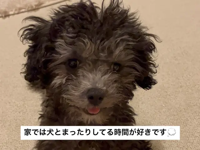 「天然洗剤×資格保有のプロ！高評価店 4月エアコン早割りセール実施中サービスの画像