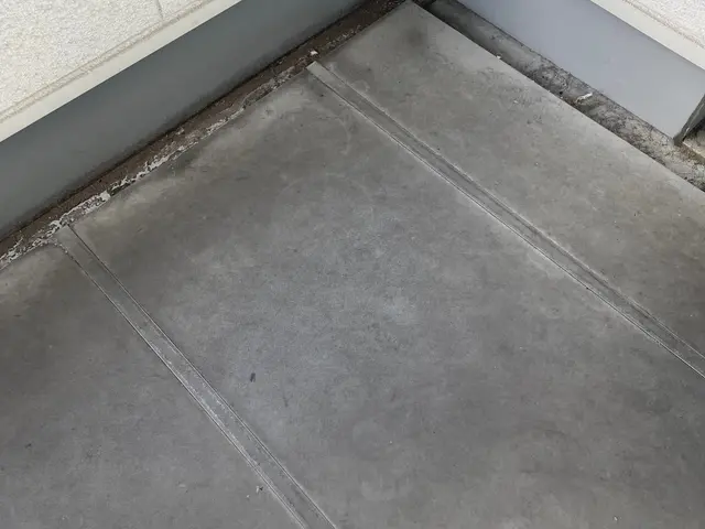 【ベランダクリーニング】ホコリや髪の毛等の汚れをスッキリ！写真の私がお伺いしますサービスの画像