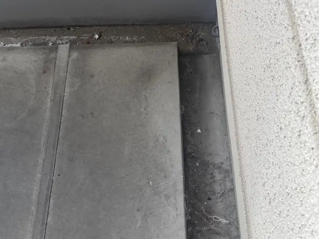 【ベランダクリーニング】ホコリや髪の毛等の汚れをスッキリ！写真の私がお伺いしますサービスの画像