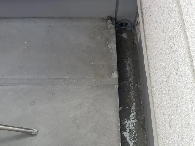 【ベランダクリーニング】ホコリや髪の毛等の汚れをスッキリ！写真の私がお伺いしますサービスの画像