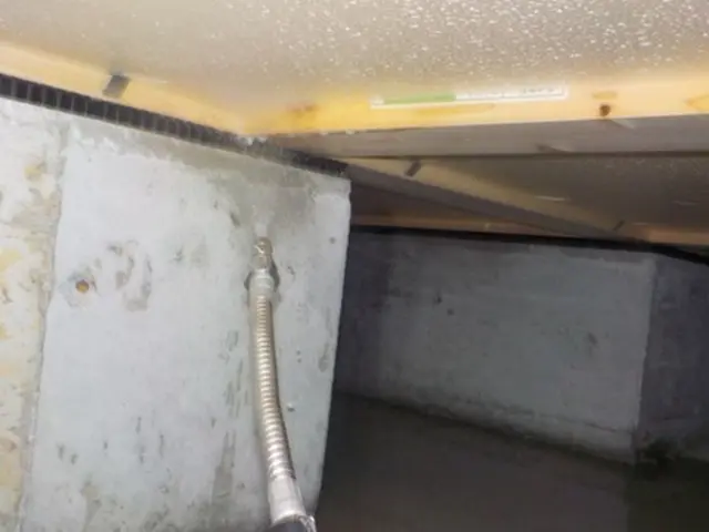 【地域密着】女性スタッフも活躍中！損害保険加入済で万が一の際にも安心ですサービスの画像