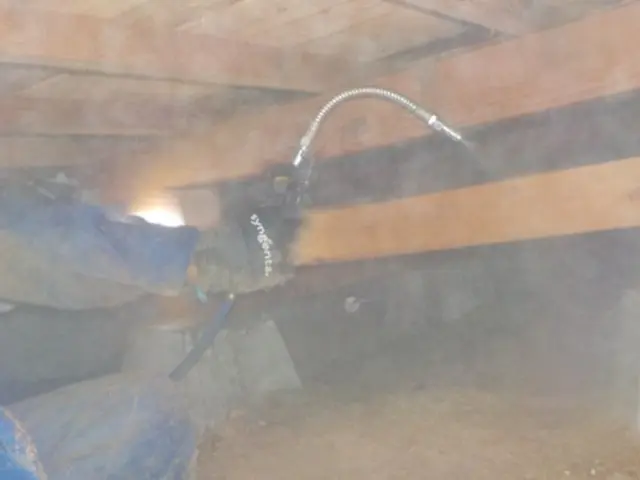 【地域密着】女性スタッフも活躍中！損害保険加入済で万が一の際にも安心ですサービスの画像