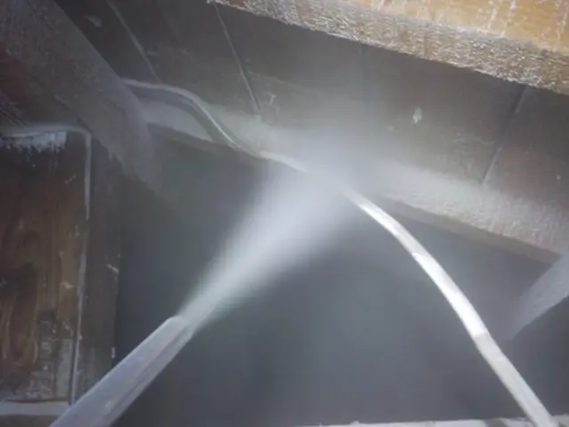 【地域密着】女性スタッフも活躍中！損害保険加入済で万が一の際にも安心ですサービスの画像