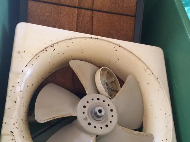 女性スタッフ同行[今だけ1,000円割引！] 丁寧な作業が大好評！サービスの画像