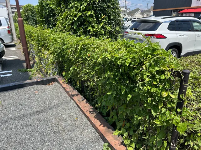 3年間100件以上の実績！大手企業も信頼するスペシャリストがご要望に完全対応サービスの画像