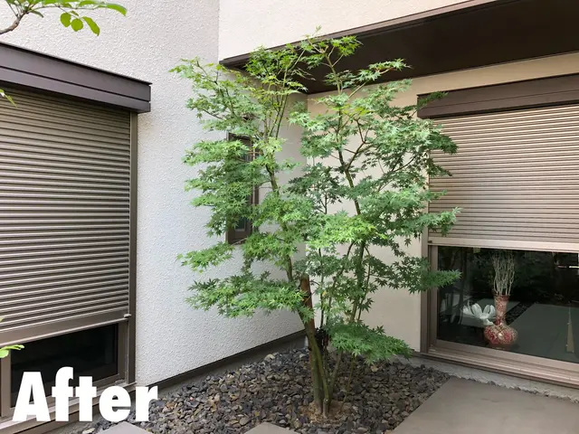 職人歴12年◆プロの技術と知識と経験にお任せください！対応地域外も相談可能！サービスの画像