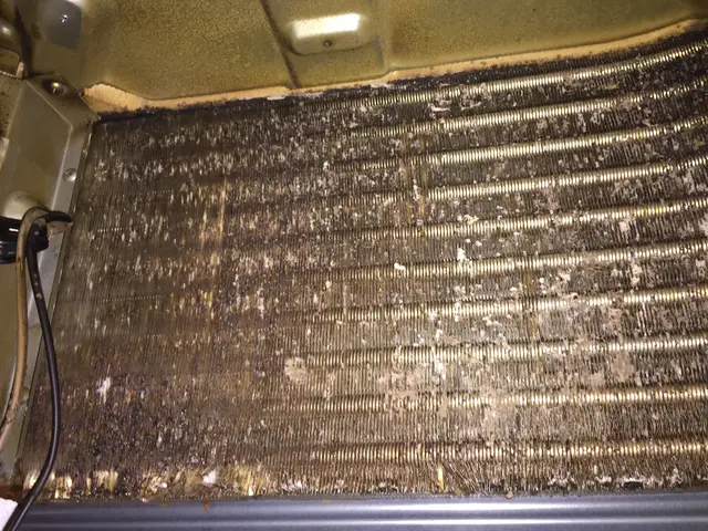 《年間１２００台の実績！》丁寧な作業がモットーです！万が一の際も安心の損保加入◎サービスの画像