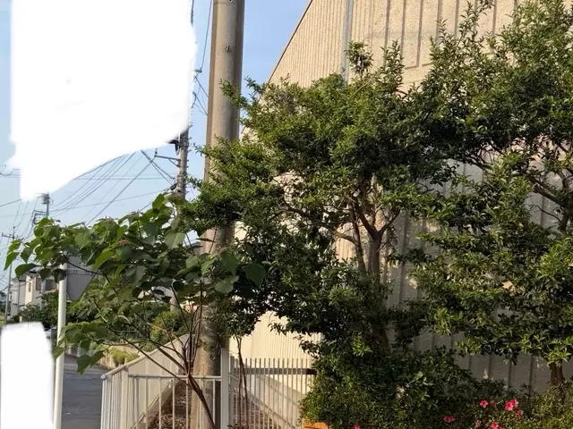 草むしりはプロにお任せ！早くて丁寧、庭も心もスッキリ爽快！サービスの画像