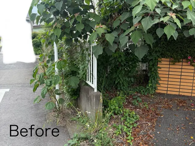 草むしりはプロにお任せ！早くて丁寧、庭も心もスッキリ爽快！サービスの画像