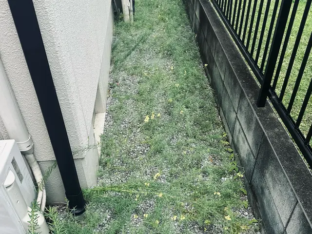 草むしりはプロにお任せ！早くて丁寧、庭も心もスッキリ爽快！サービスの画像