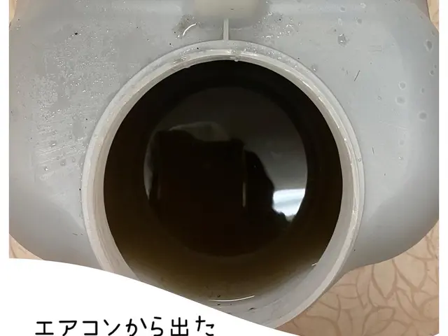 ＜損害保険加入済＞キレイな空間づくりのお手伝い致します！サービスの画像