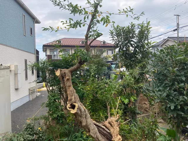 管理しきれない木の剪定、伐採はお任せください！！サービスの画像