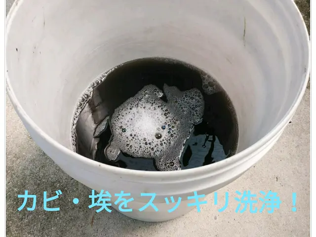 《熊本県》  赤ちゃん・ペットも安心！エコ洗剤にて洗浄☆   除菌、消臭無料！サービスの画像