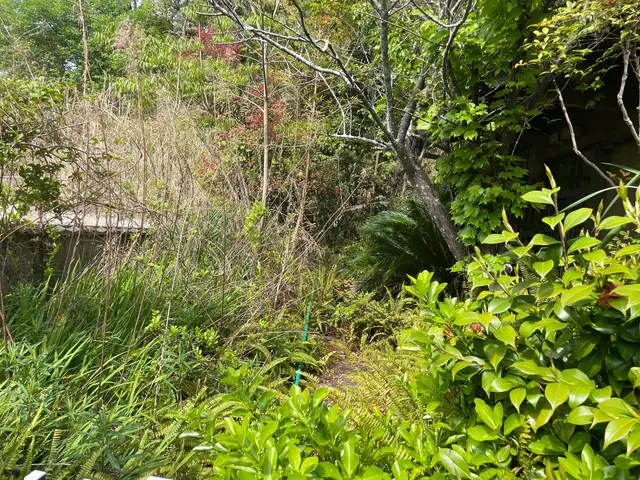 PayPay・クレジットカード対応☆キレイと元気をお届け！処分交通費込！サービスの画像