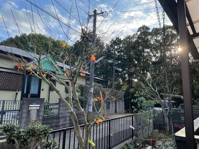 PayPay・クレジットカード対応☆キレイと元気をお届け！処分交通費込！サービスの画像