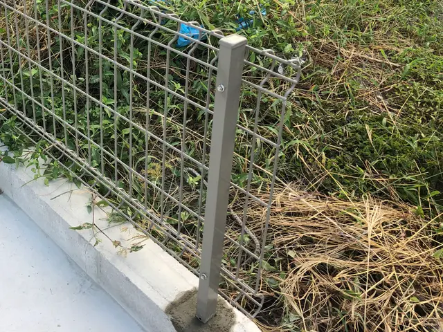 ランキングに捉われず実績件数と評価・口コミをご参照下さい。きっとご満足頂けます。サービスの画像