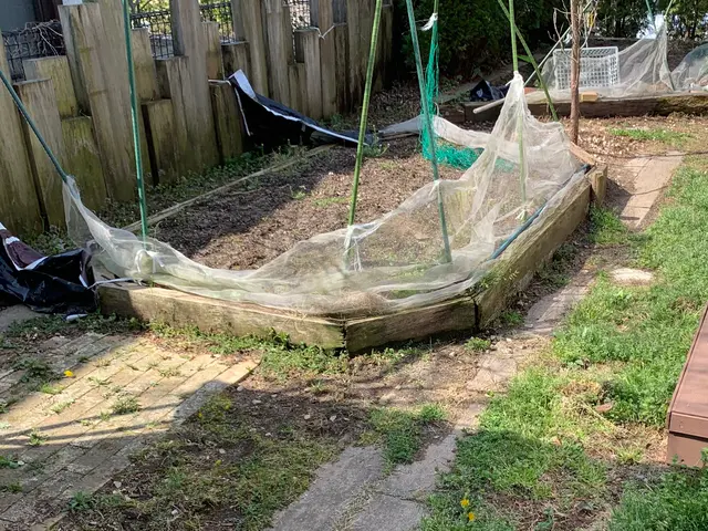 芝張り｜丁寧な施工と実績！痒いところに手が届くサービスをご提供します！サービスの画像