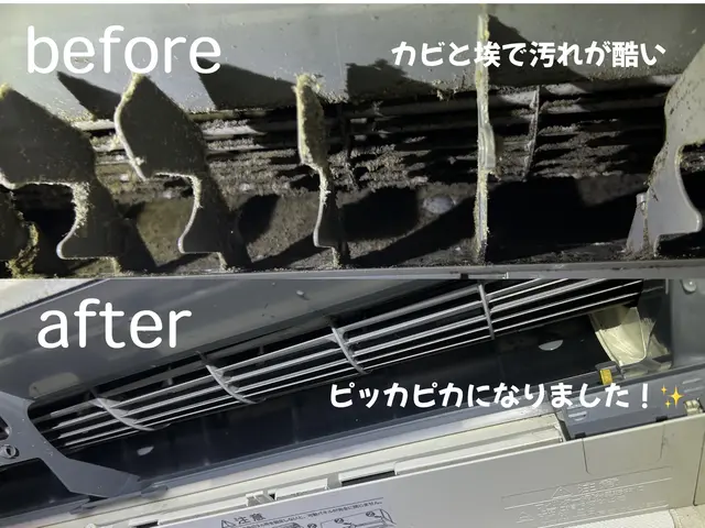 【QR決済対応可】外注一切無し！★損害保険加入☆匂いやカビが気になったらお任せ！サービスの画像