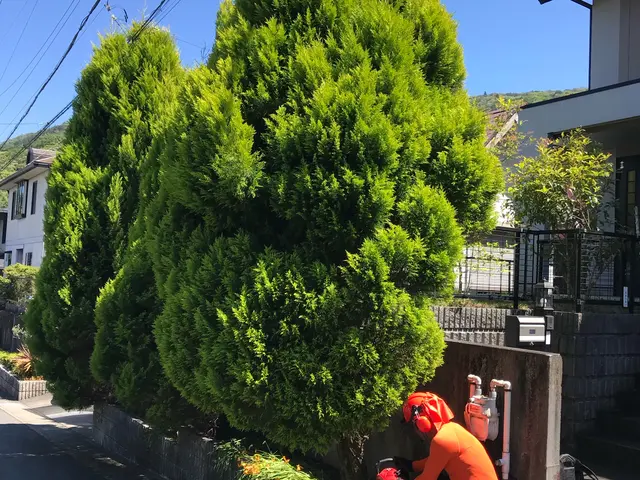 《高所作業車使用可能》損保加入済！広範囲の作業もお任せ！サービスの画像