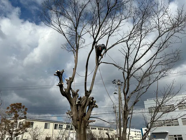 《高所作業車使用可能》損保加入済！広範囲の作業もお任せ！サービスの画像