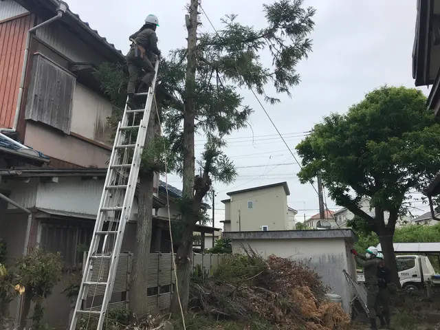 《高所作業車使用可能》損保加入済！広範囲の作業もお任せ！サービスの画像