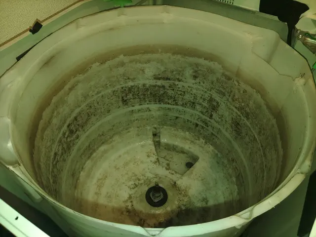 ただいま新年お掃除キャンペーン中です！！是非お得な時にご利用ください。サービスの画像