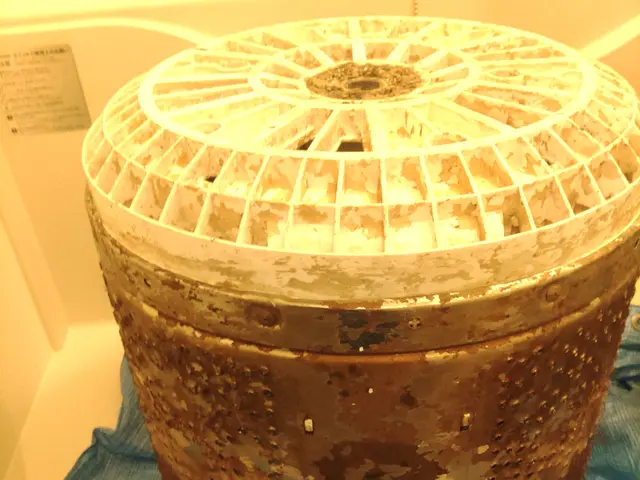 ただいま新年お掃除キャンペーン中です！！是非お得な時にご利用ください。サービスの画像