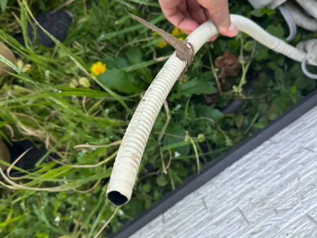 即日可能！国家資格保持のプロによるカメムシゼロ宣言！お家、お庭のカメムシを0に！サービスの画像